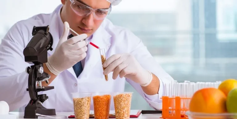 Food Product Development