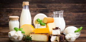 Milk & Dairy Products